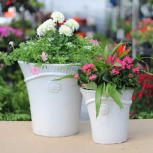 container gardens for mom