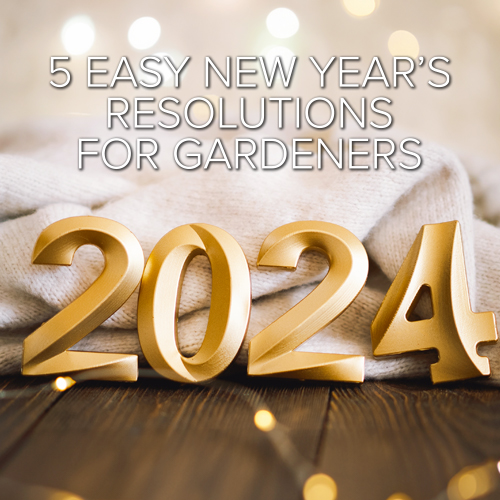 easy new years resolutions