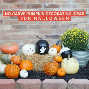 halloween no-carve pumpkin decorating