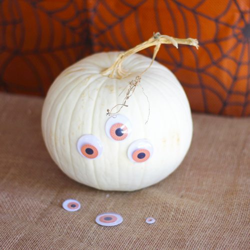 Googly Eyes on White Pie Pumpkin for Halloween | Calloway's Nursery