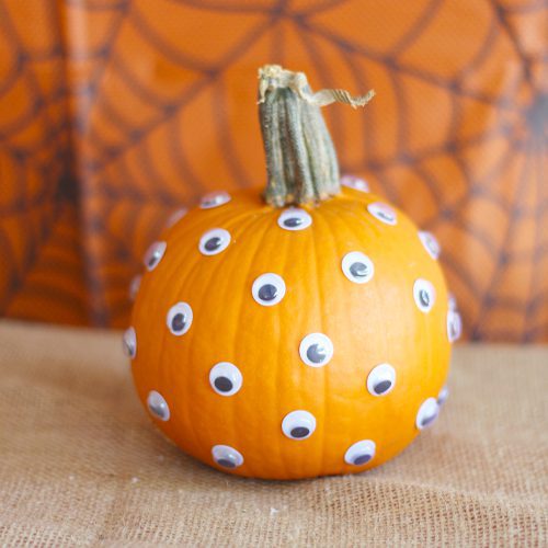 Googly Eyes on Pie Pumpkin for Halloween | Calloway's Nursery