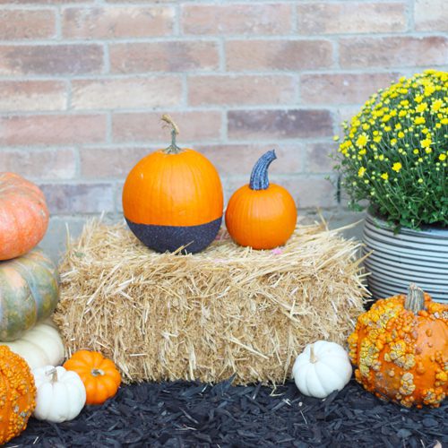 Glitter Pumpkin for Halloween | Calloway's Nursery