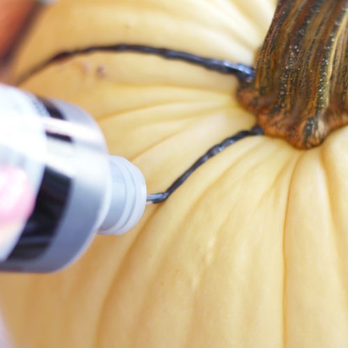 Black Fabric Paint on White Pumpkin for Halloween | Calloway's Nursery