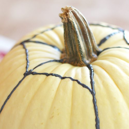 Painted Spider Web on White Pumpkin for Halloween | Calloway's Nursery