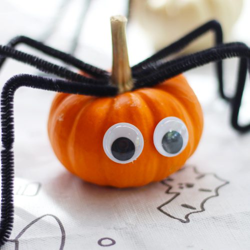 Googly Eyes on Pumpkins for No-Carve Pumpkin Decorating Ideas for Kids | Calloway's Nursery