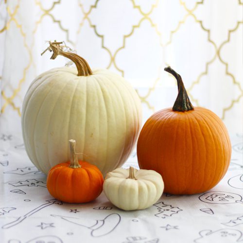 Orange and White Pumpkins for No-Carve Pumpkin Decorating Ideas for Kids | Calloway's Nursery