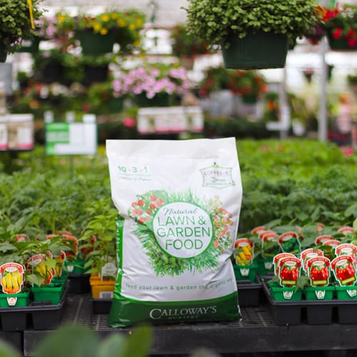 natural lawn & garden food