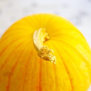 gold pumpkin stem