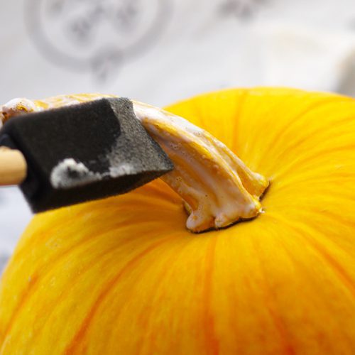 Mod Podge on Pumpkin Stem for Halloween | Calloway's Nursery 