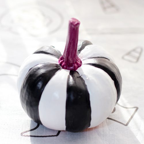 Pinwheel Painted Pumpkin for Halloween | Calloway's Nursery 
