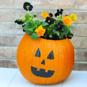 jack o lantern pumpkin planter