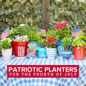 fourth of july containers