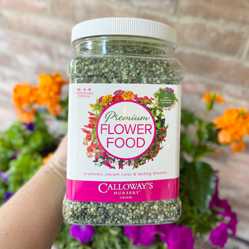 calloways flower food