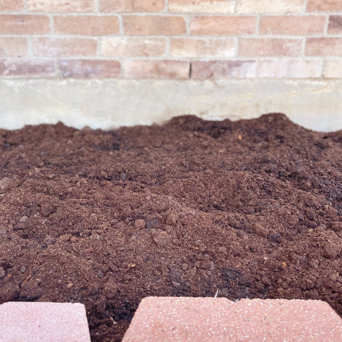 prepare soil