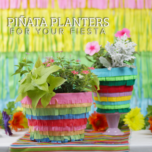 Playful Pinata Planters