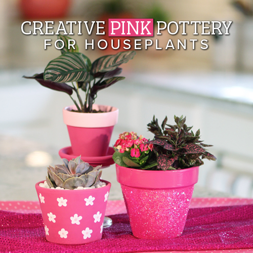 Creative Pink Pottery for Houseplants