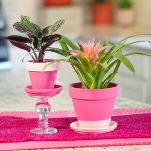 two-tone painted pink pottery