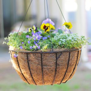 hanging basket with pansies