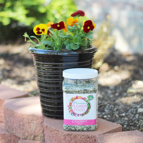 Calloway’s Premium Flower Food | Calloway's Nursery