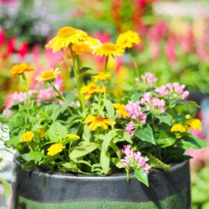 flower container garden