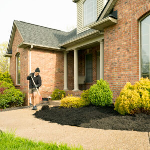 Mulching techniques