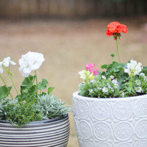 container gardening