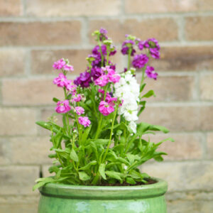 stock in pottery
