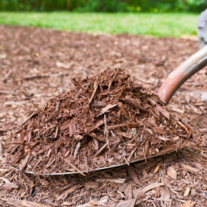 Mulching
