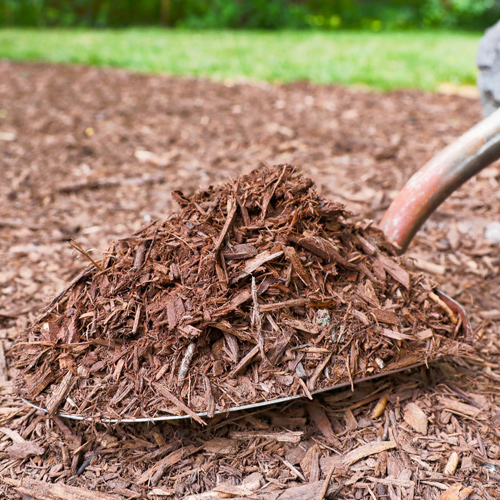 Mulching