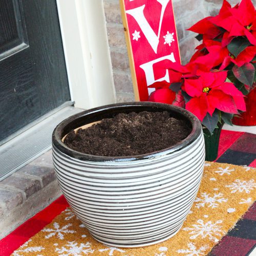 calloway's premium container potting soil