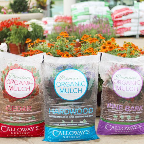 Calloway’s 100% Organic Premium Mulch | Calloway’s Nursery