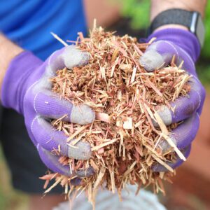 cedar mulch