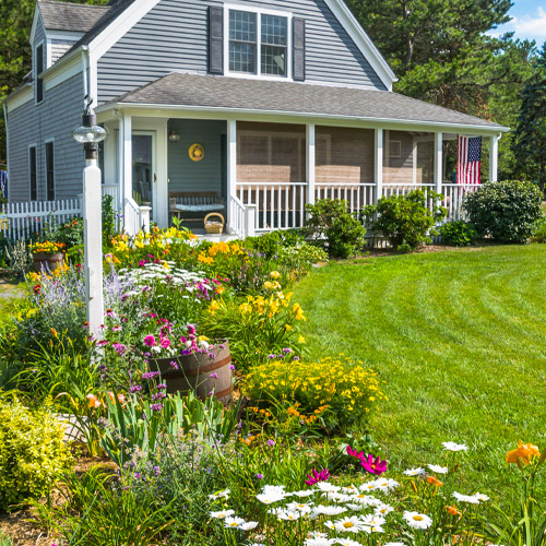 perennial garden