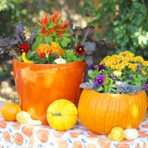 pumpkin planters for fall