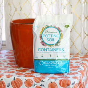calloway's premium container potting soil