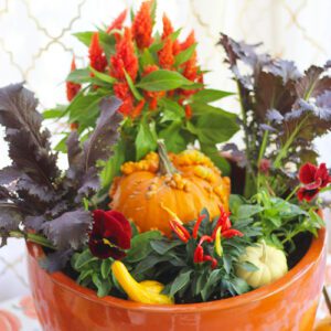add pumpkins to container garden