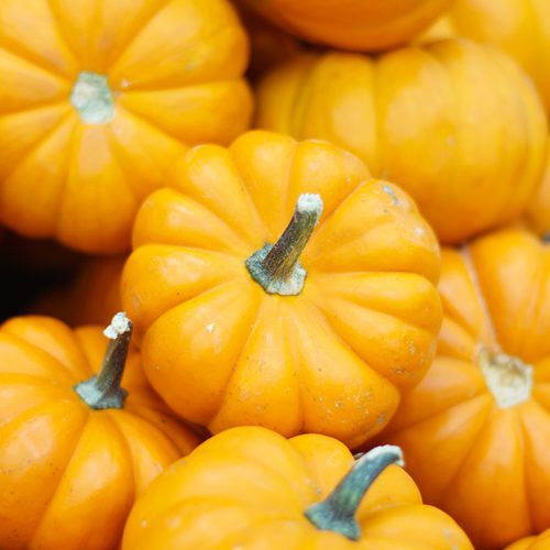 mini-orange-tabletop-pumpkin