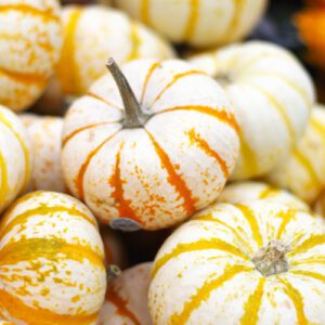 tiger striped baby pumpkin