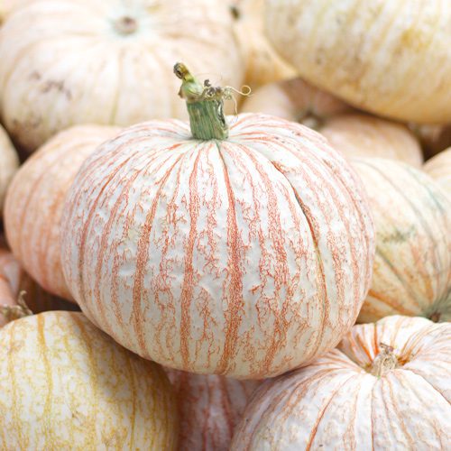 one-too-many-pumpkins