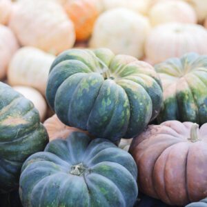 fairytale pumpkin