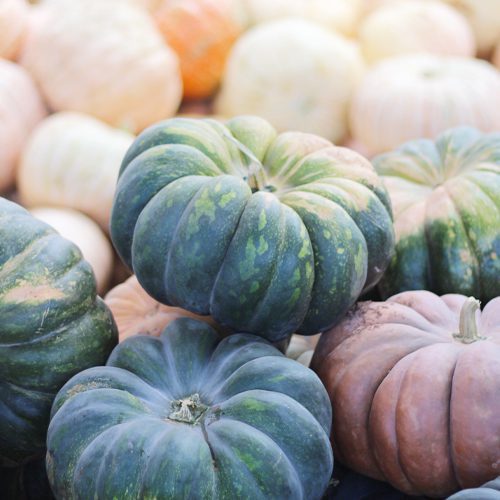 fairytale-pumpkins