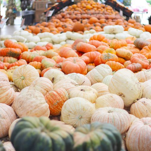 pumpkins-available-at-calloways-cornelius