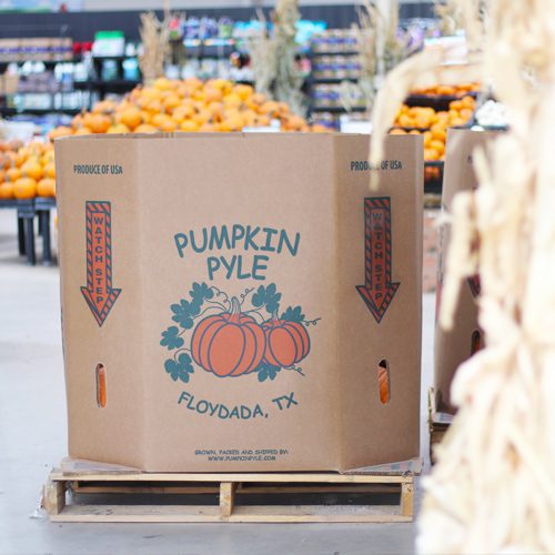 pumpkin-pyle-floydada-tx