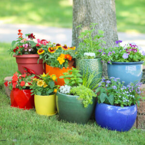 container gardens