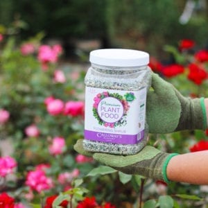 calloway's premium flowering shrub plant food