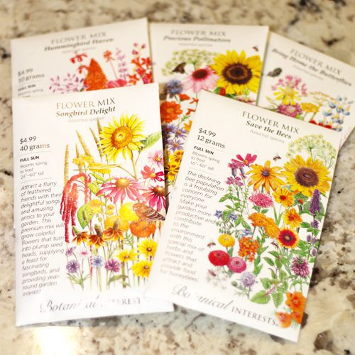 wildflower seeds