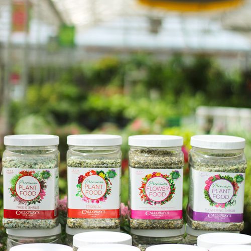 Calloway’s Premium Plant Foods for September Gardening | Calloway's Nursery