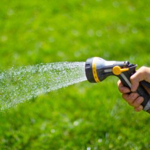 watering lawn