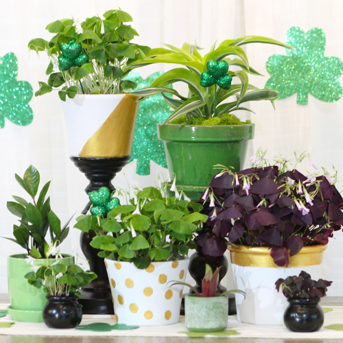decorate for st. patrick's day