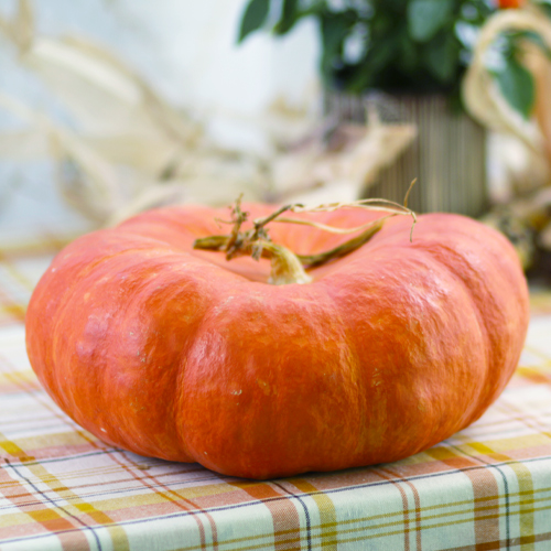 cinderella pumpkins